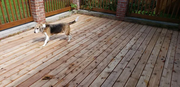 rs=w_600,cg_true,m (25)